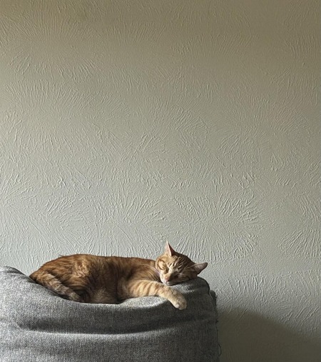 Entry image for Peace. Clicking this image will show a larger photo