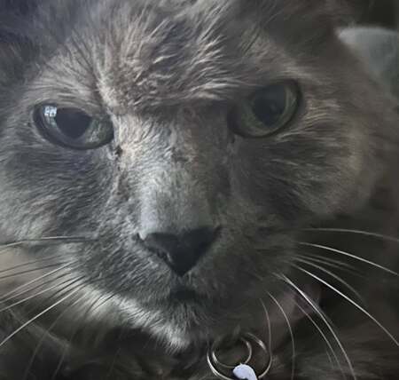 Entry image for Angry. Clicking this image will show a larger photo