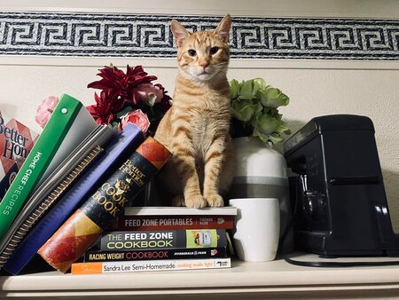 Entry image for My name is "get down". Clicking this image will show a larger photo