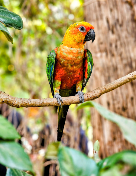 Entry image for In the forest. Clicking this image will show a larger photo