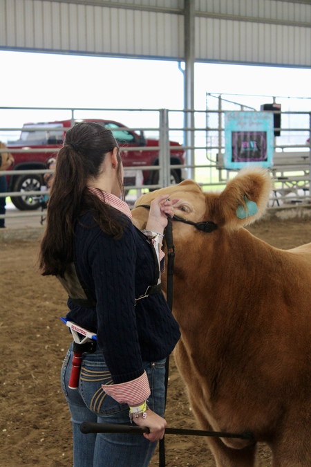 Entry image for I believe in the future of FFA. Clicking this image will show a larger photo