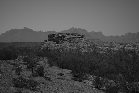 Big bend National Park 