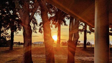 Entry image for Shining Light. Clicking this image will show a larger photo