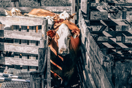 Watchful eye 