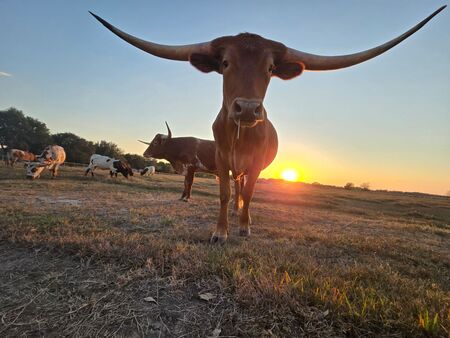 Entry image for You got any range cubes?. Clicking this image will show a larger photo