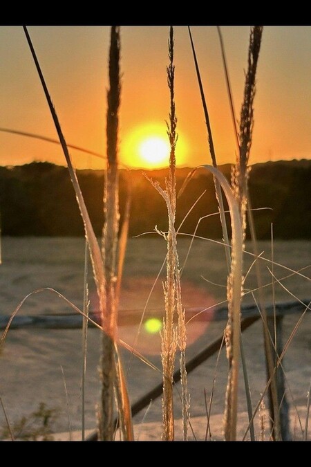 Texas sunset