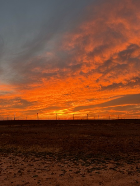 Entry image for Something in the Orange. Clicking this image will show a larger photo