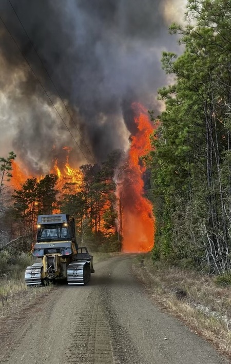 Entry image for Burning Forest. Clicking this image will show a larger photo