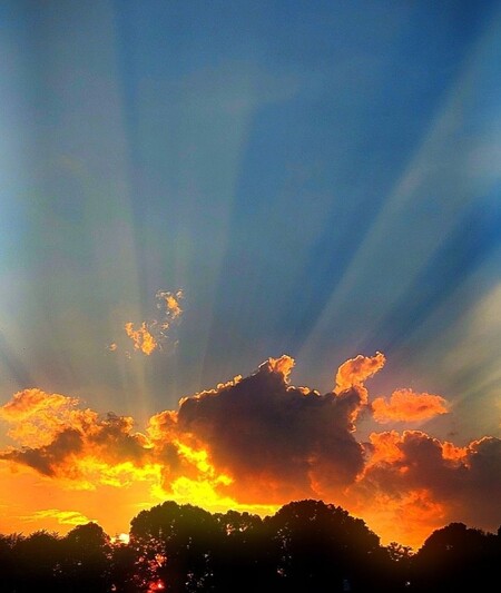 Entry image for Golden Rays. Clicking this image will show a larger photo