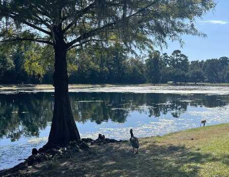 Entry image for A Calm Afternoon. Clicking this image will show a larger photo