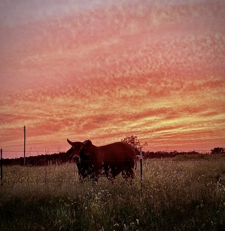 Entry image for Serenity in Nature. Clicking this image will show a larger photo