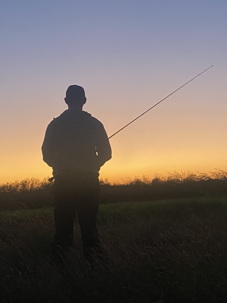 Entry image for Something in the Orange. Clicking this image will show a larger photo