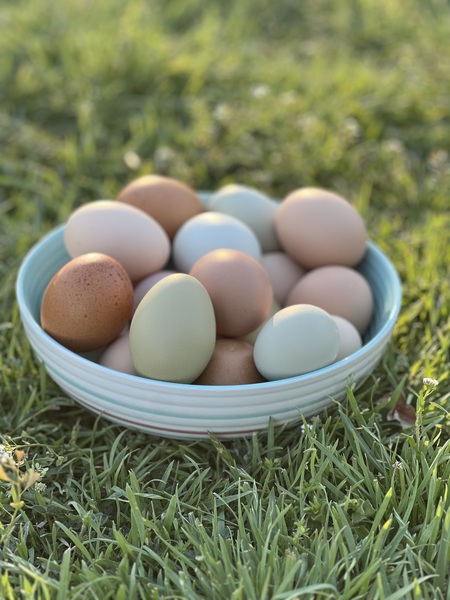 Rainbow Eggs