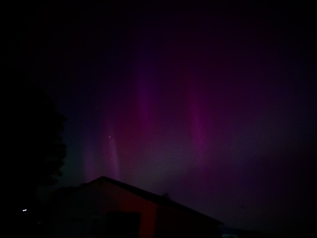 Aurora Borealis over Alabama show-pig barn. 