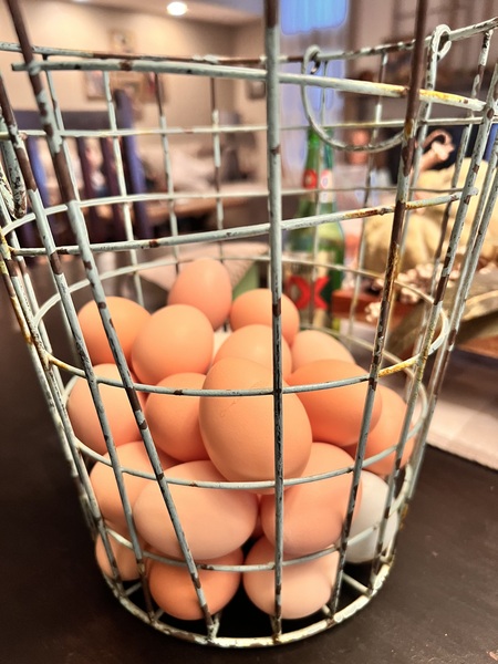 Got eggs? 