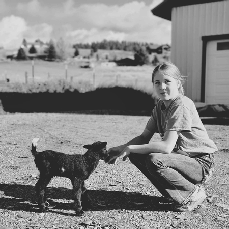 Entry image for Little Lady, Little Lamb. Clicking this image will show a larger photo