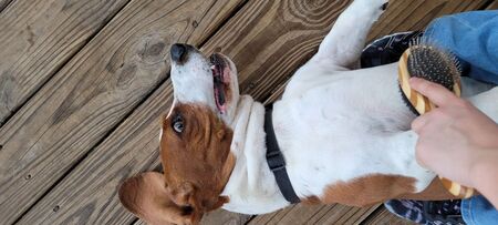 Oooohhh that's the spot