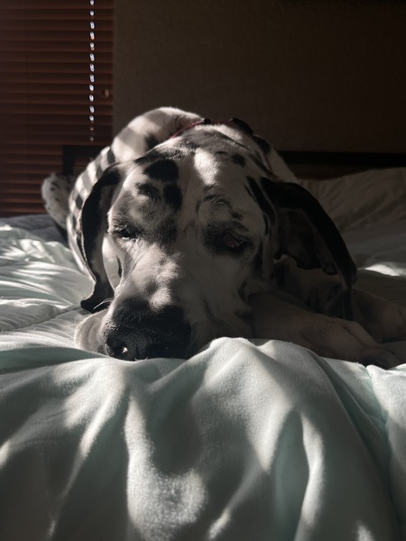Nap Time