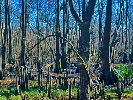 Southern magic