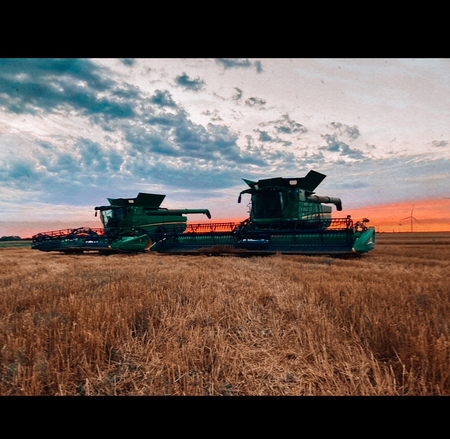 Harvest Scenery