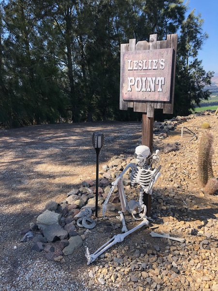 Leslie's Point