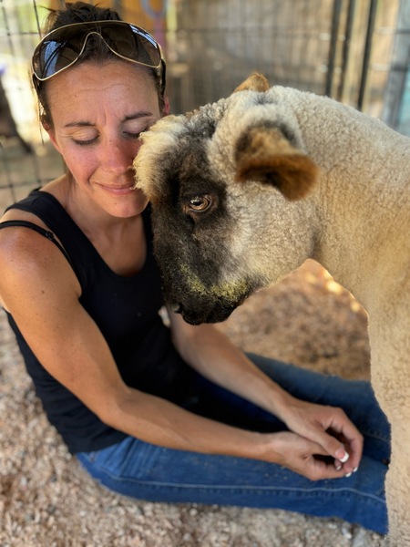 I Love Ewe