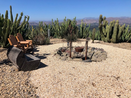 Cactus Camp
