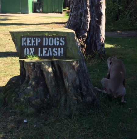 ALYSA, expressing her views at a local park.