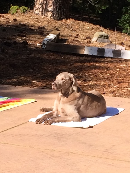 Astro - Sunning after Swimming