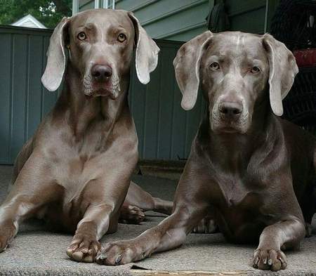 Sophie & Lily