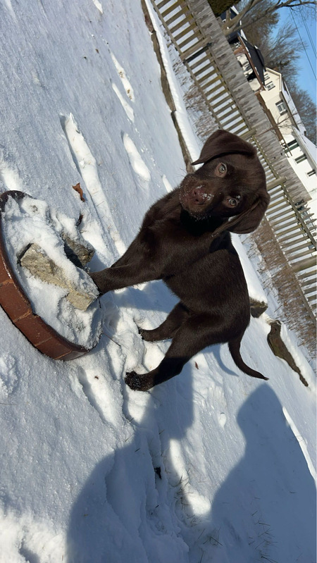 Oakley