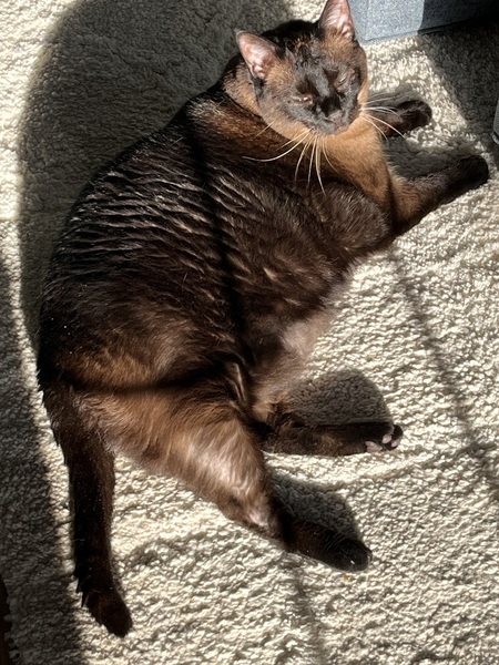 Pudge