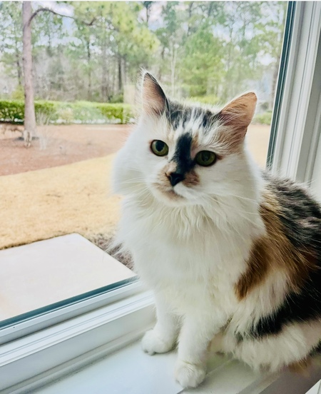 Fiona