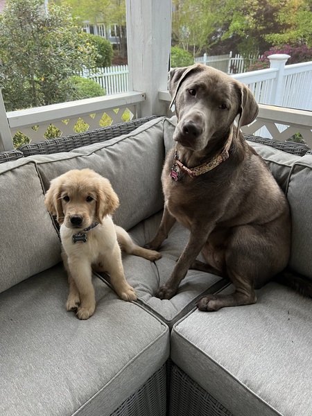 Maggie & Bunker