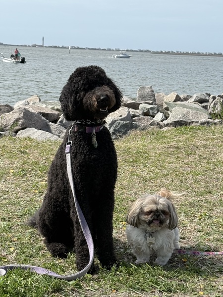 Sadie and Emmy Lou