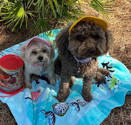 Stella and Cocoa