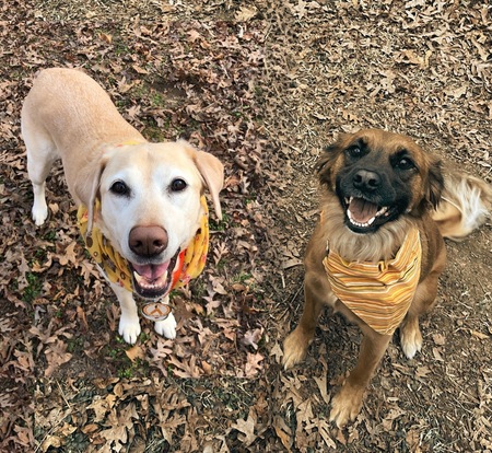 Willow and Skylar