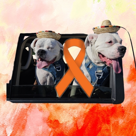 CAPONE & ZEUS