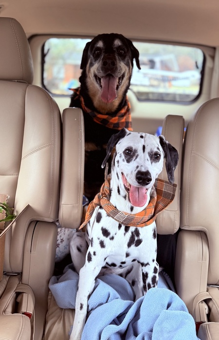 Duke & Dottie