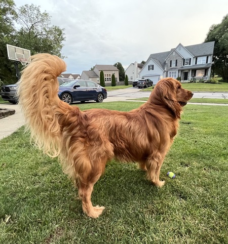 Charlotte “Charlie” Raye Furr
