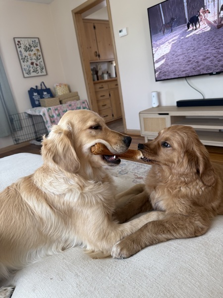 Obi & Oliver 