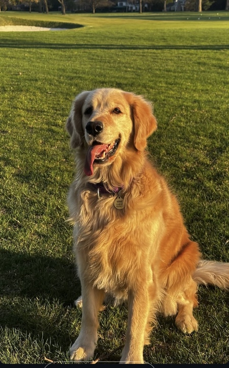 Winnie