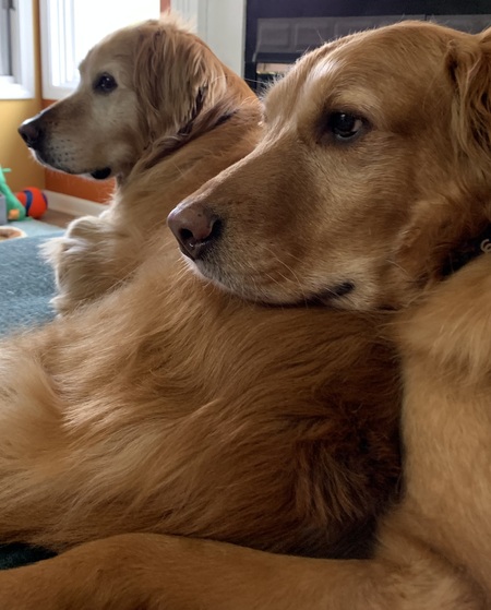 Cinnamon and Rennie