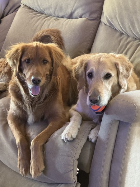 Chloe and Gracie