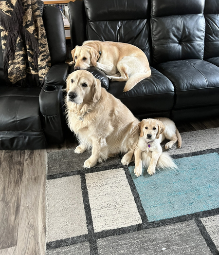 Cody, JJ, and Lacey May