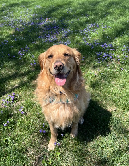 Milo
