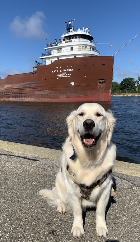 Otis