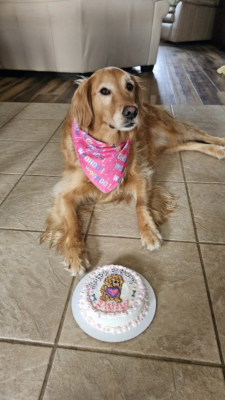 Daisy 