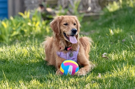 Luna Mae