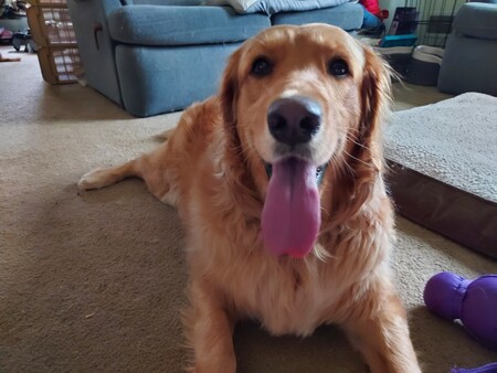 Bailey